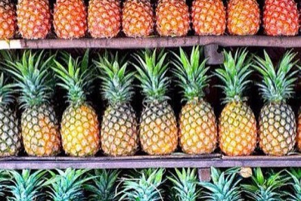 Superfood focus: Pineapples!
