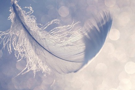 Cosmic Pineapple – week four: Air