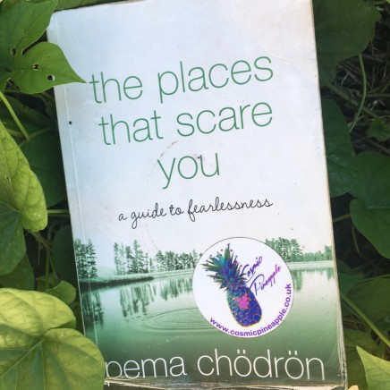 Cosmic Book Club: ‘The Places That Scare You’ – A guide to fearlessness by Pema Chödrön