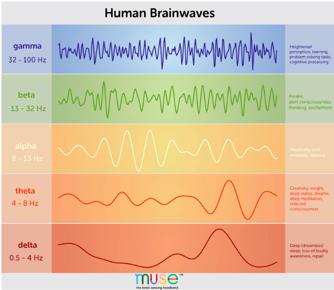 and lucid dream conscious brain waves