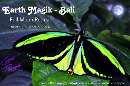 Cosmic Pineapple presents Earth Magik  – Full Moon Retreat, Bali